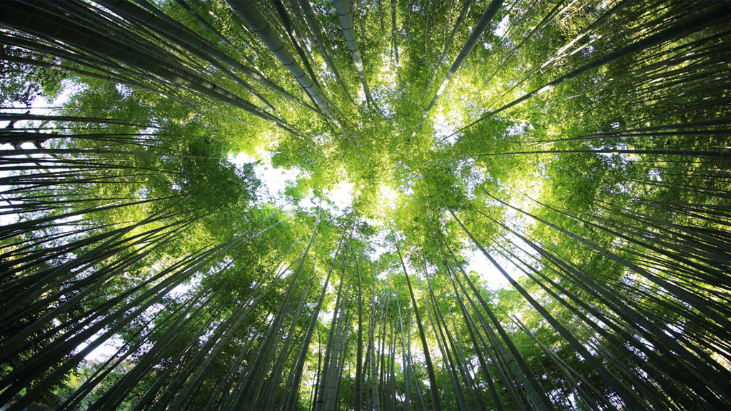 Kazuend 30877 Unsplash