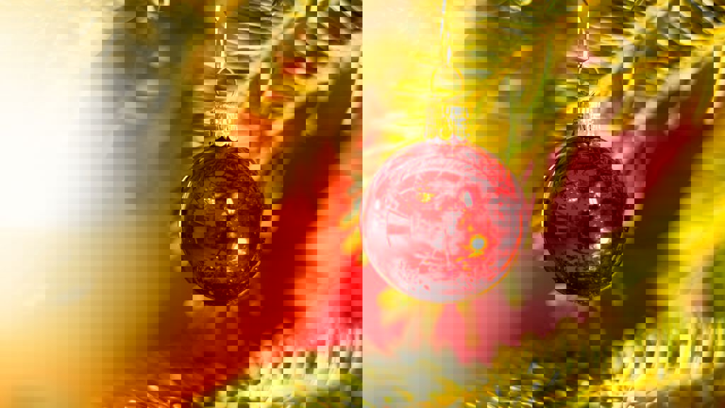 Theo Crazzolara HYBL Faunt0 Unsplash